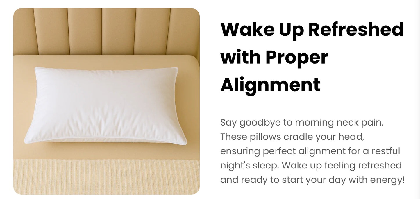 Hungarian White Goose Feather And Down Pillow Pair