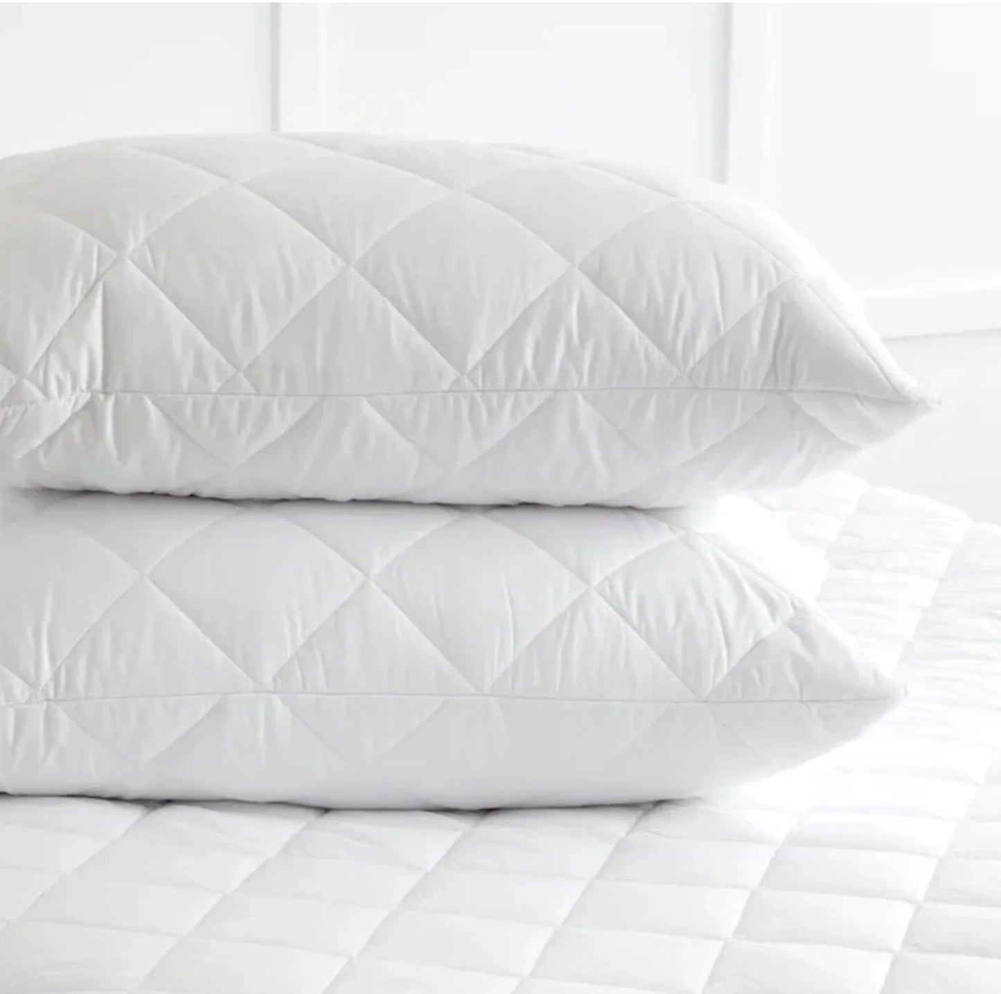 JL | our famous JL firm support pillows x 2