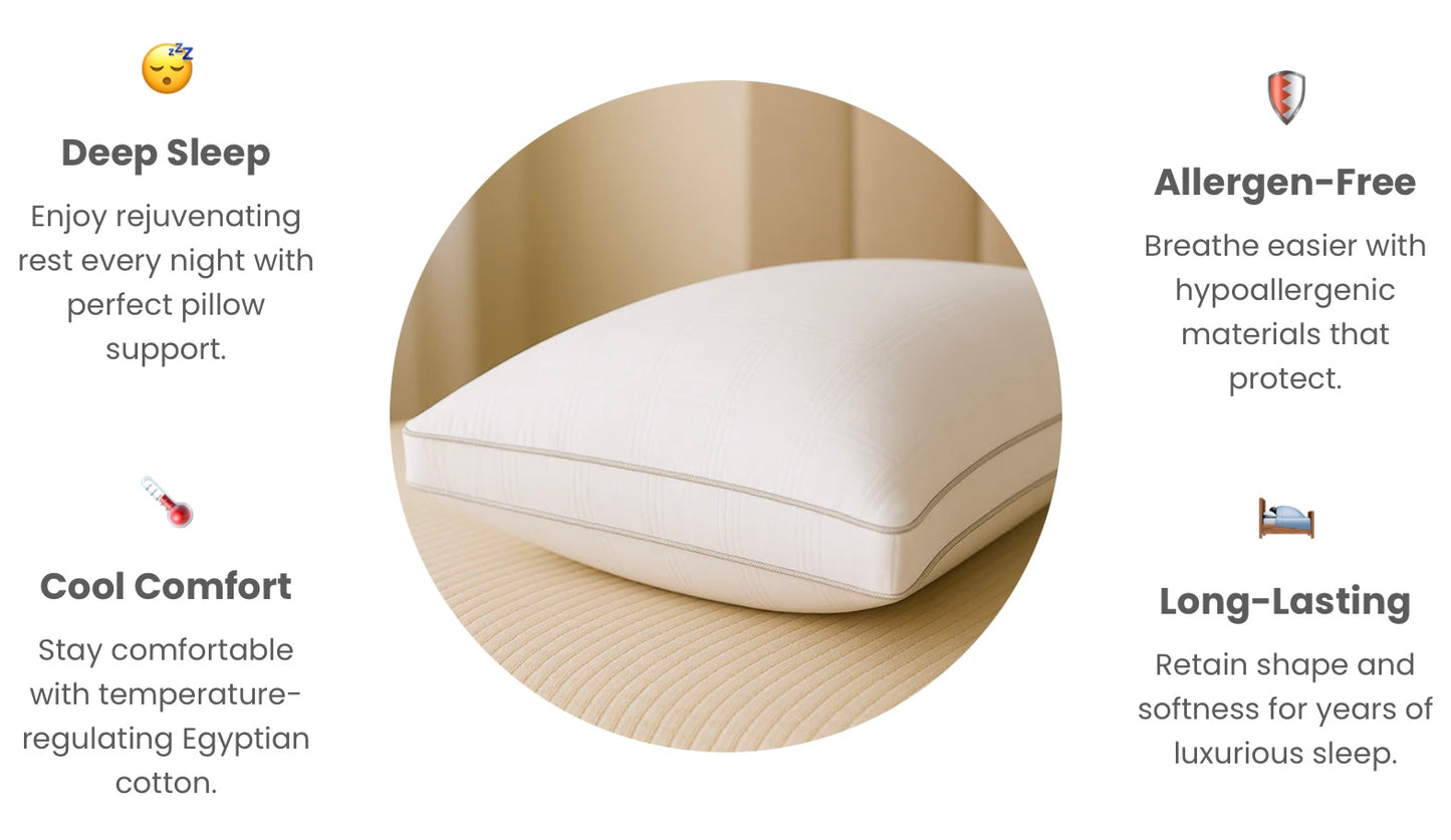 Premium Egyptian Cotton Silk Pillow Pair